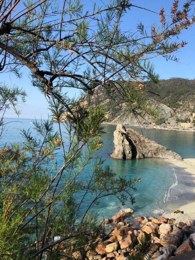 Appartamento Via Roma 56 Monterosso al Mare Kültér fotó